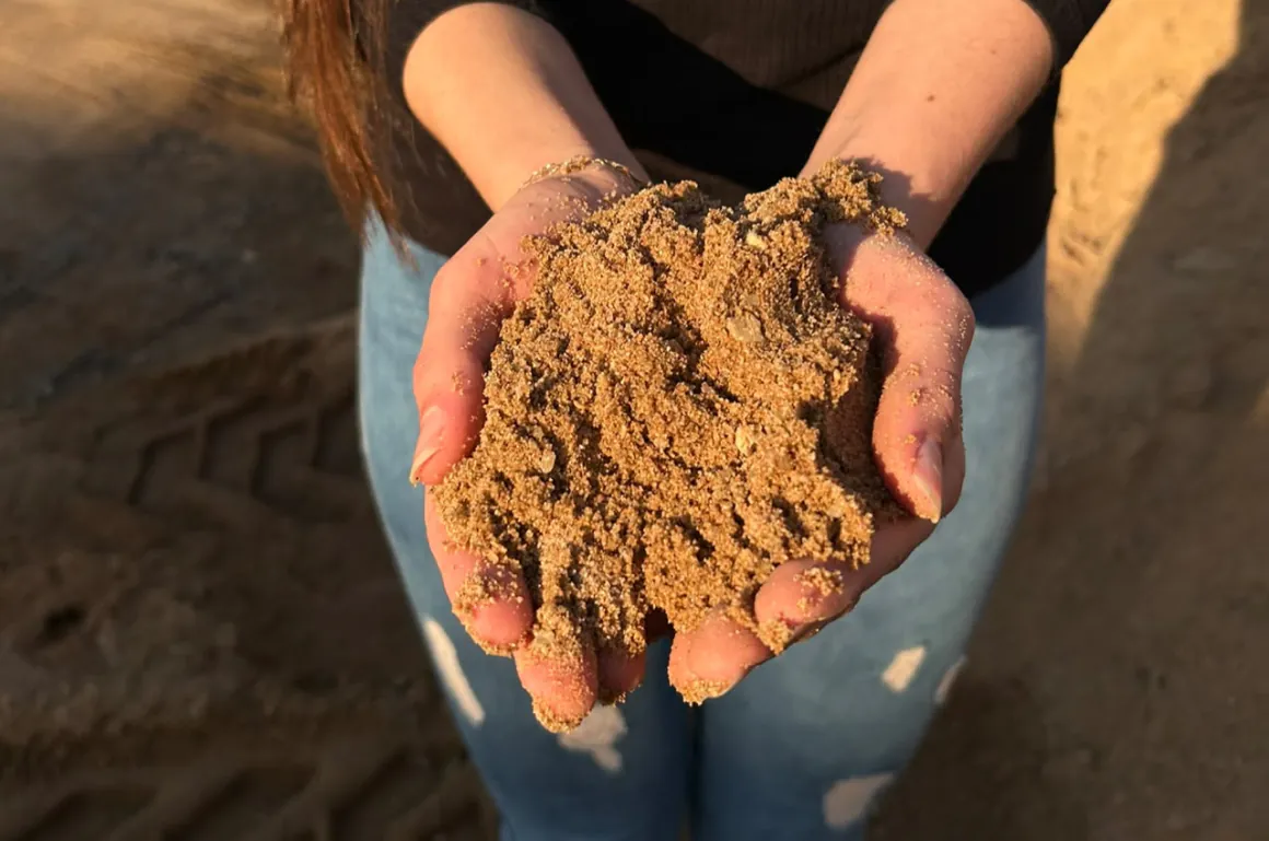 Areia grossa da Pedreira São Joaquim, com grãos maiores, segurada nas mãos